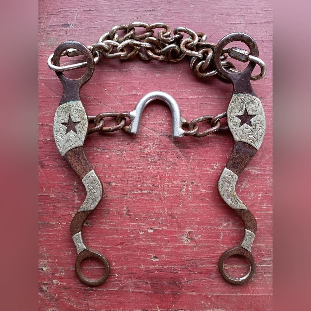 Western-Style Bit with Silver Accents
